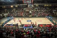 Angola's home crowd goes during their team's win.